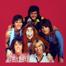 The Bay City Rollers Show Witchiepoo T Shirt 39198253