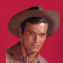 Ty Hardin Bronco T Shirt 39205091