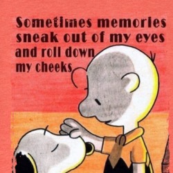 Sometimes Memories Sneak Out Of My Eyes Charlie Brown T Shirt 39215486