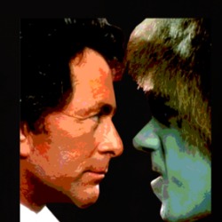 The Incredible Hulk Bill Bixby Lou Ferrigno T Shirt 39216944