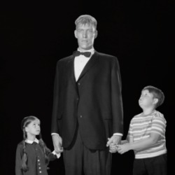 The Addams Family Wednesday Pugsley Lurch T Shirt 39221384