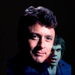 Bill Bixby Lou Ferrigno The Incredible Hulk T Shirt 39233201
