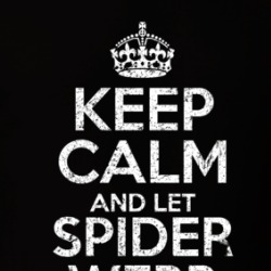 Keep Calm And Let Spider Webb Handle It Slow Horses T Shirt 39248386