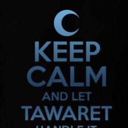 Keep Calm And Let Tawaret Handle It Moon Knight T Shirt 39248406
