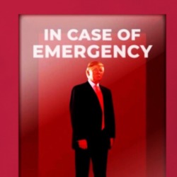 In Case Of Emergency Break Glass Trump T Shirt 39256645