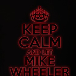 Keep Calm Let Mike Wheeler Handle It Stranger Things T Shirt 39270548