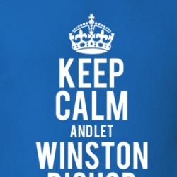 Keep Calm And Let Winston Bishop Handle It New Girl T Shirt 39276755