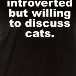 Introverted But Willing To Discuss Cats Raglan T Shirt 39282357