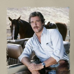Matt Houston Lee Horsley 80s Tv Series T Shirt 39284701