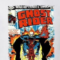 Ghost Rider Comic Issue 67 T Shirt 39287911