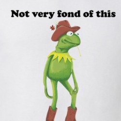 Kermit The Frog Not Very Fond Of This Present Moment In Time Cowboy T Shirt 39299258