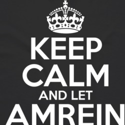 Keep Calm And Let Amrein Handle It T Shirt 39312198