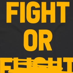 Fight Or Flight Mma Boxing T Shirt 39319618