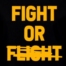Fight Or Flight Mma Boxing Ladies T Shirt 39319619