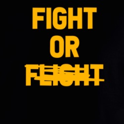 Fight Or Flight Mma Boxing Hoodie 39319620