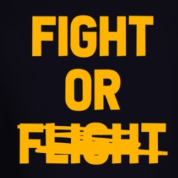 Fight Or Flight Mma Boxing Long Sleeve T Shirt 39319621
