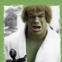 The Incredible Hulk Lou Ferrigno Tv T Shirt 39320693
