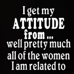 I Get My Attitude From All The Women I Am Related To T Shirt 39320912