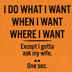 I Do What I Want Except I Gotta Ask My Wife T Shirt 39321312