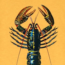 Lobster Illustration T Shirt 39321315