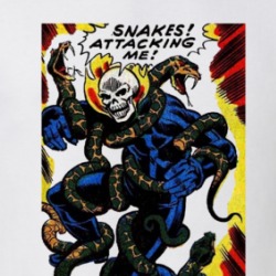 Johnny Blaze Ghost Rider Snakes Attacking Me T Shirt 39324704