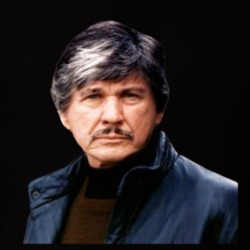 Charles Bronson 80s Action Star T Shirt 39328864
