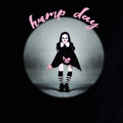 Hump Day Wednesday Dance Hoodie 39479295