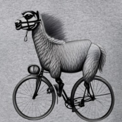 Llama Riding A Bicycle T Shirt 39480828