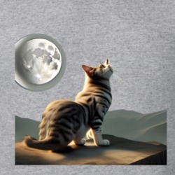 Cat Looking To The Sky T Shirt 39504596