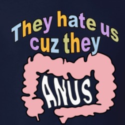 They Hate Us Cause They Anus T Shirt 39527999
