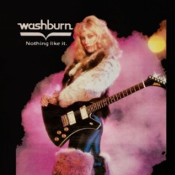 Washburn Guitars Nothing Like It T Shirt 39539410