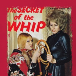 The Secret Of The Whip T Shirt 39567739