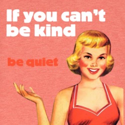 If You Can't Be Kind Be Quiet T Shirt 39569155