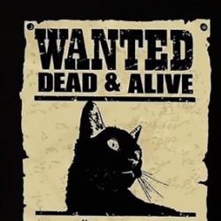 Wanted Dead Or Alive Schrodinger's Cat T Shirt 39570040