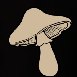 Funguy Mushroom Play On Words T Shirt 39575360