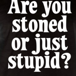 Are You Stoned Or Just Stupid Raglan T Shirt 39575366