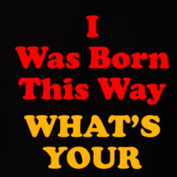 I Was Born This Way What's Your Excuse T Shirt 39579085