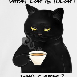 Grumpy Cat What Day Is Today Who Cares I'm Retired Crewneck Sweatshirt 39598074