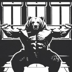 Bear Doing Squats Funny Gym Gear T Shirt 39600968