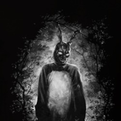 Donnie Darko Cult Classic Movie T Shirt 39643042