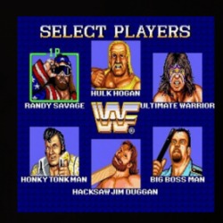 Wrestling Video Game Old School Retro T Shirt 39659821