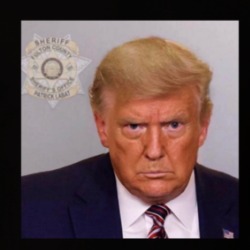 Donald Trump Mugshot T Shirt 39675418