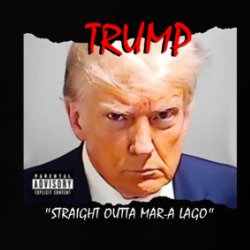 Donald Trump Straight Outta Mar-a-lago Mugshot T Shirt 39675420