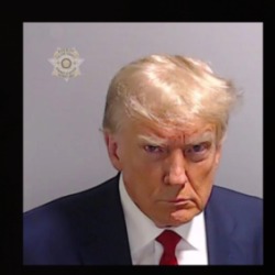 Donald Trump Mugshot T Shirt 39675435