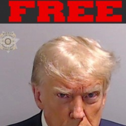 Free Donald Trump Usa President Mugshot T Shirt 39675735