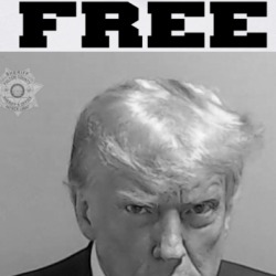 Free Donald Trump Usa President Mugshot Black And White T Shirt 39675736