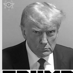 Free Donald Trump Usa President Mugshot Black And White Mug 39675737