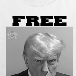 Free Donald Trump Usa President Mugshot Black And White T Shirt 39675741