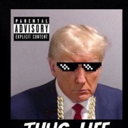President Donald Trump Thug Life Parody Mugshot Ladies T Shirt 39675779