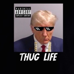 President Donald Trump Thug Life Parody Mugshot Hoodie 39675780